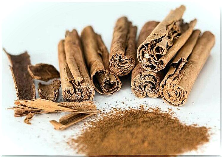 fight infectious diseases with cinnamon