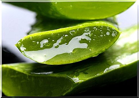 10 ways aloe vera can be used