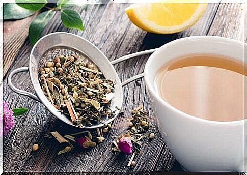 Herbal tea as a preventive measure against varicose veins