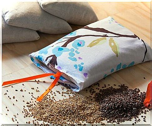 Seed pillow