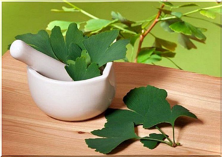 Ginkgo biloba for tinnitus