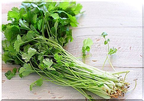 Coriander can help relieve eye infections.