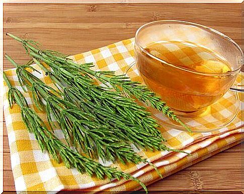 Lower cholesterol levels with horsetail tea