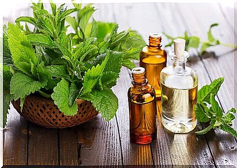 Remedies for knee pain with mint and eucalyptus oils 