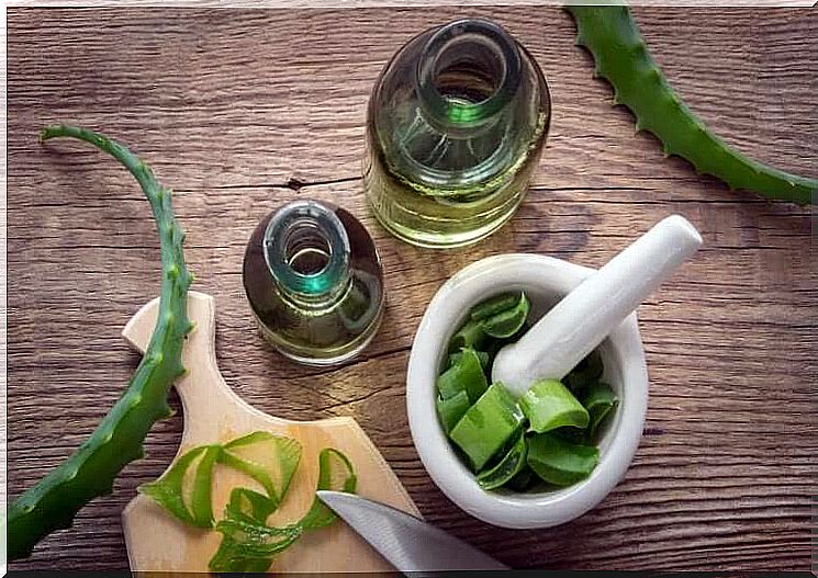 Aloe vera against head fungus