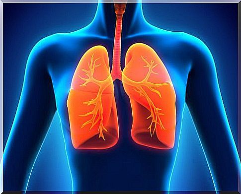 9 essential foods for healthy lungs