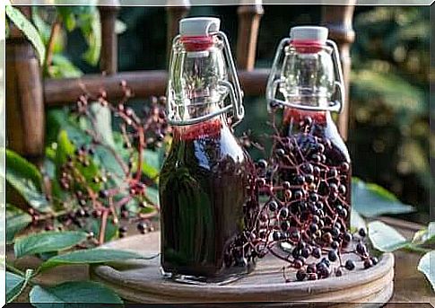 Elderberry syrup: benefits, preparation and use