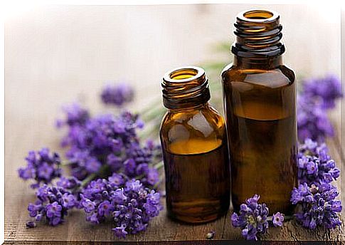 Lavender oil in a bottle