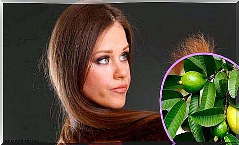 Guava leaves for damaged hair