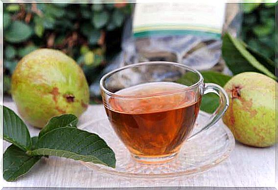 Guava leaf tea for damaged hair