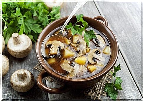 Soup mushrooms