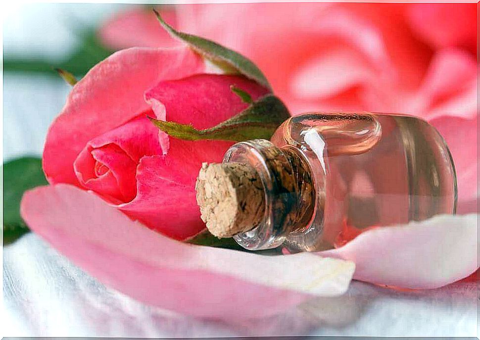 Rose petals for homemade facial toner