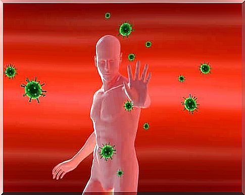 How does the immune system work against cancer?