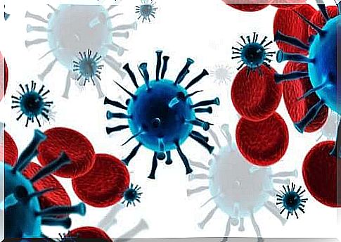 Immune system against cancer