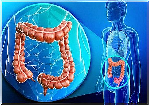 Natural colon cleansing: this is how it's done