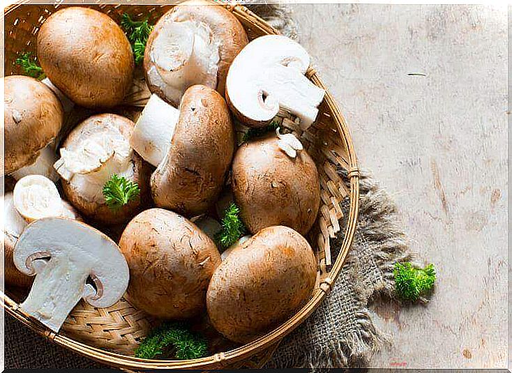 Stuffed mushrooms with cheese filling