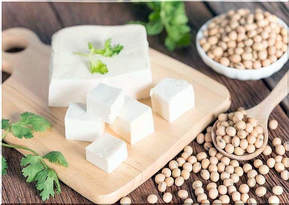 Sofu and tofu as protein sources for vegans