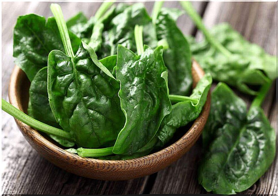 Spinach as a source of protein for vegans