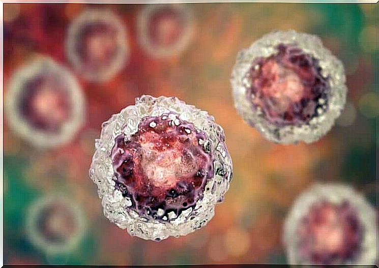 Coronavirus Transmissibility: What You Should Know About It