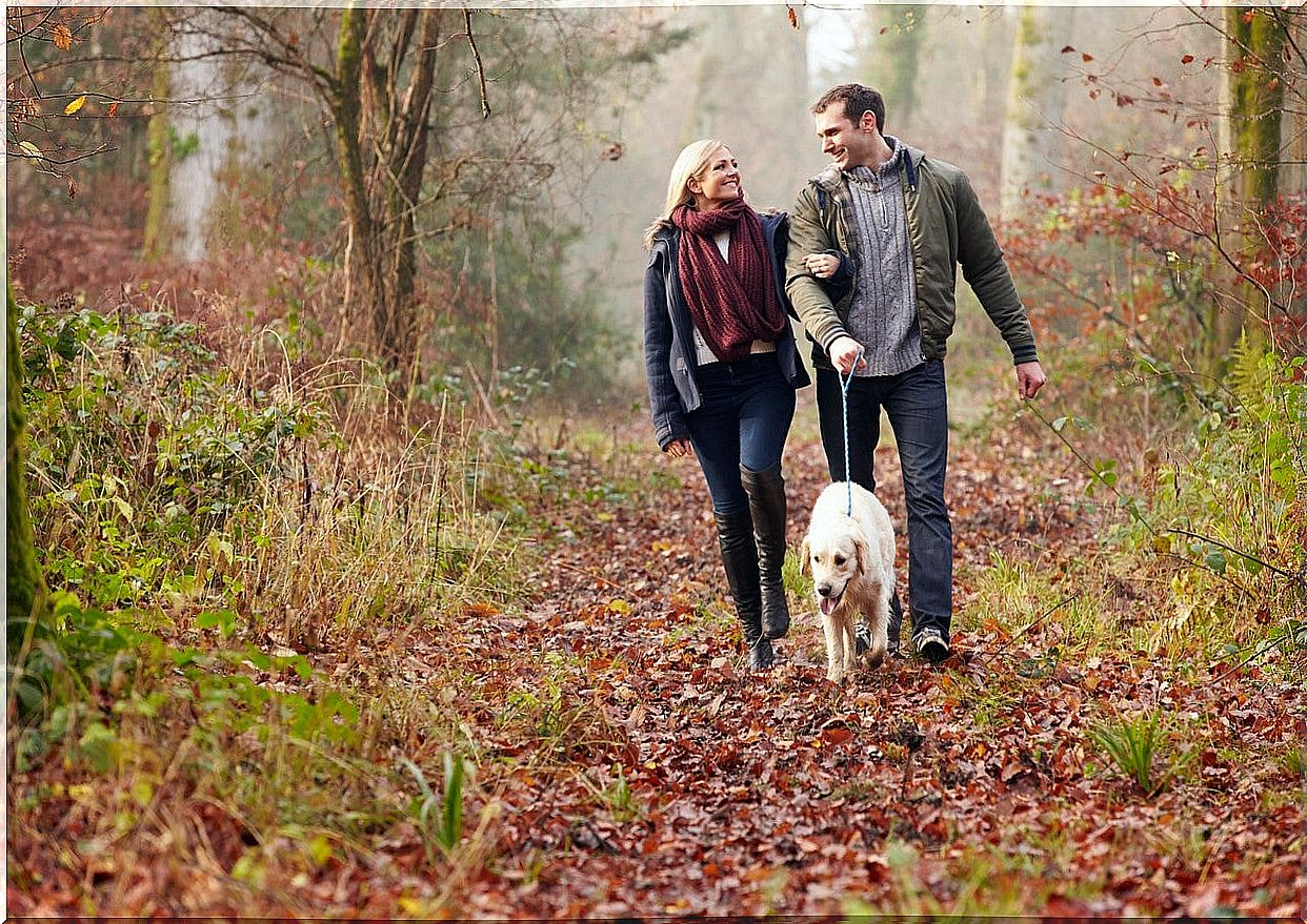 Taking a walk can keep you from getting tired after you eat