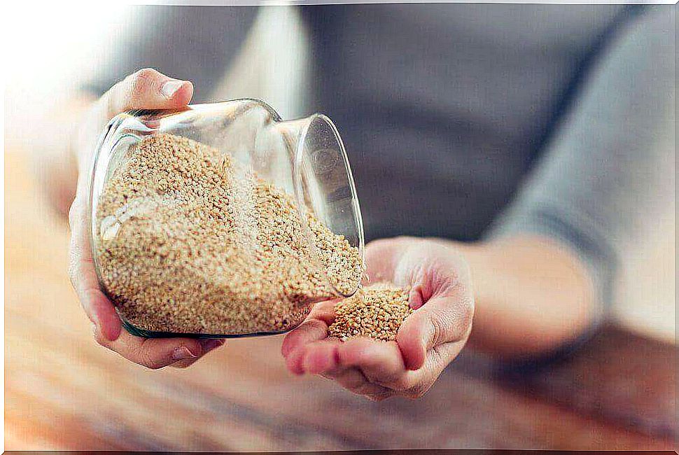 Quinoa, the Andean grain